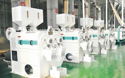 rice procesing machines installation