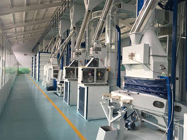 Why is rice processing equipment popular?