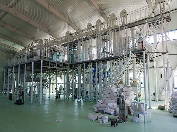 What preparations should be done before the operation of maize processing machine?
