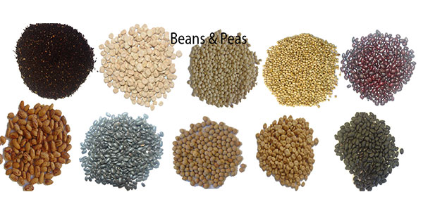 The development of grain processing equipment in the grain processing industry