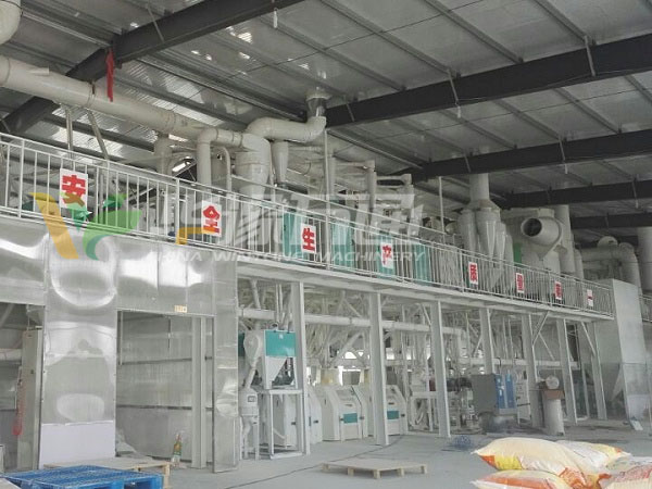 China 200 Tons Corn Processing Equipment