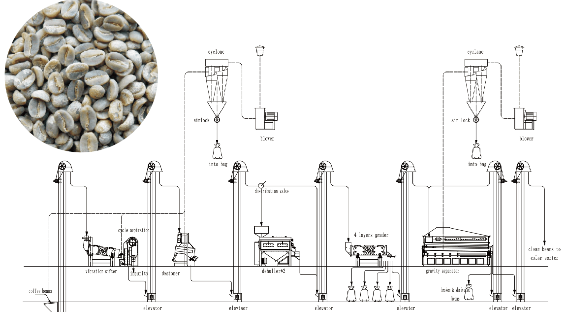 Coffee Beans Cleaning Project