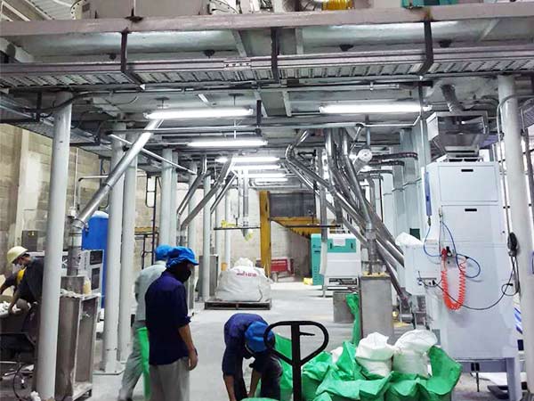 Thailand Mung Bean Peeling Line Installation and Commissioning