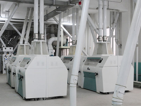 maize milling plant 