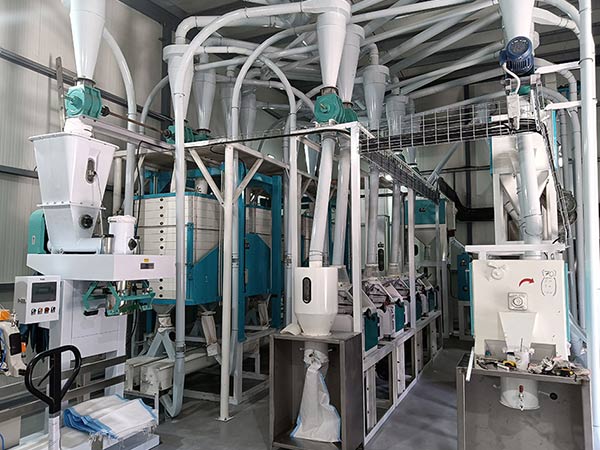 Mozambique-24TPD Maize Flour Milling Line