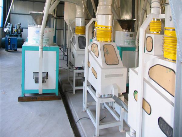 China 120TPD Buckwheat Processing Plant Installation