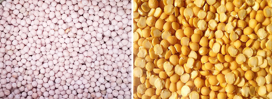 DTPZ-26 Soybean & Peas Peeling Machine FINISHED PRODUCTS