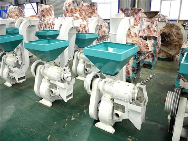 NF280 Grain Peeling Machine 500kg/h