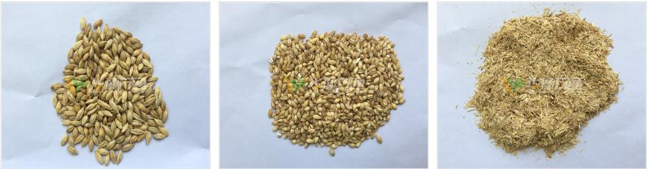 MTPS Highland Barley Peeling Machine FINISHED PRODUCTS