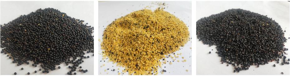 Rapeseed Peeling Machine FINISHED PRODUCTS