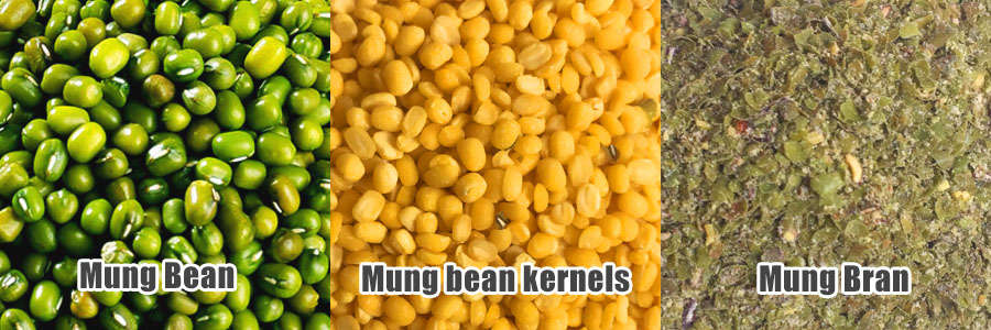 MTPS Peeling Machine for Mung Bean/Urad Dal/Black and Green Gram FINISHED PRODUCTS