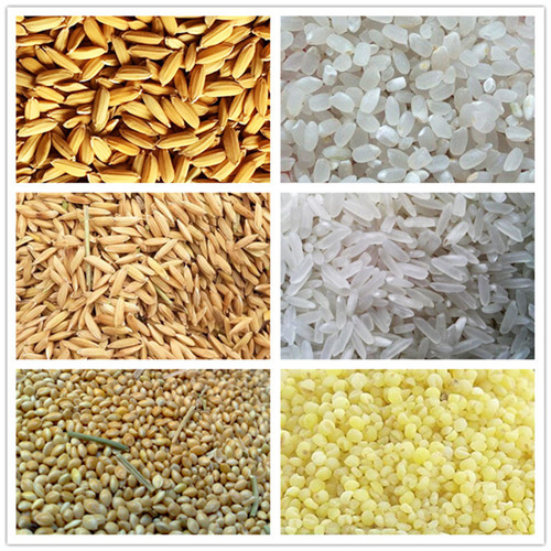 MGCZ Gravity Paddy Separator FINISHED PRODUCTS