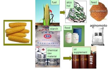 Scientific Research Report on South Africa Maize Processing Current Situation