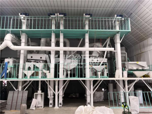 Export to the U.S.- Win Tone 5T/Hour Seeds Cleaning Line