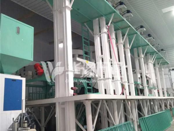 Export to the U.S.- Win Tone 5T/Hour Seeds Cleaning Line