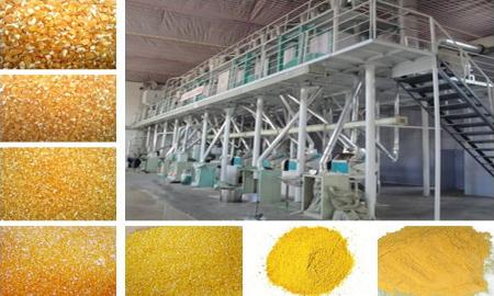 How to Choose Corn Processing Machinery Manufacturer