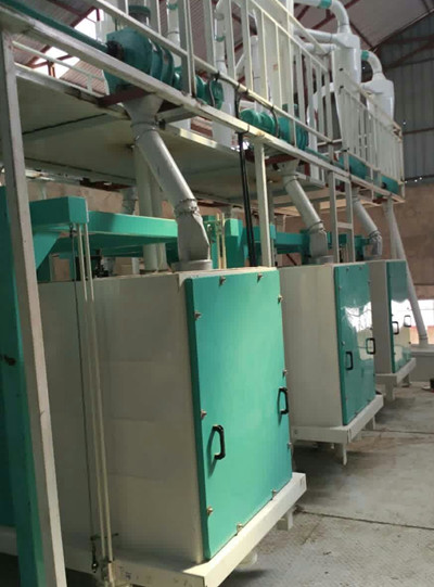 50TPD Medium Complete Maize Flour Milling Plant