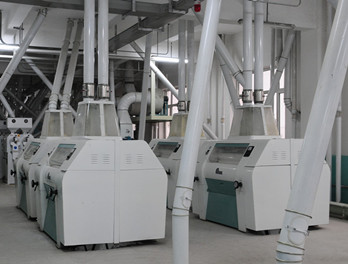 corn processing equipment