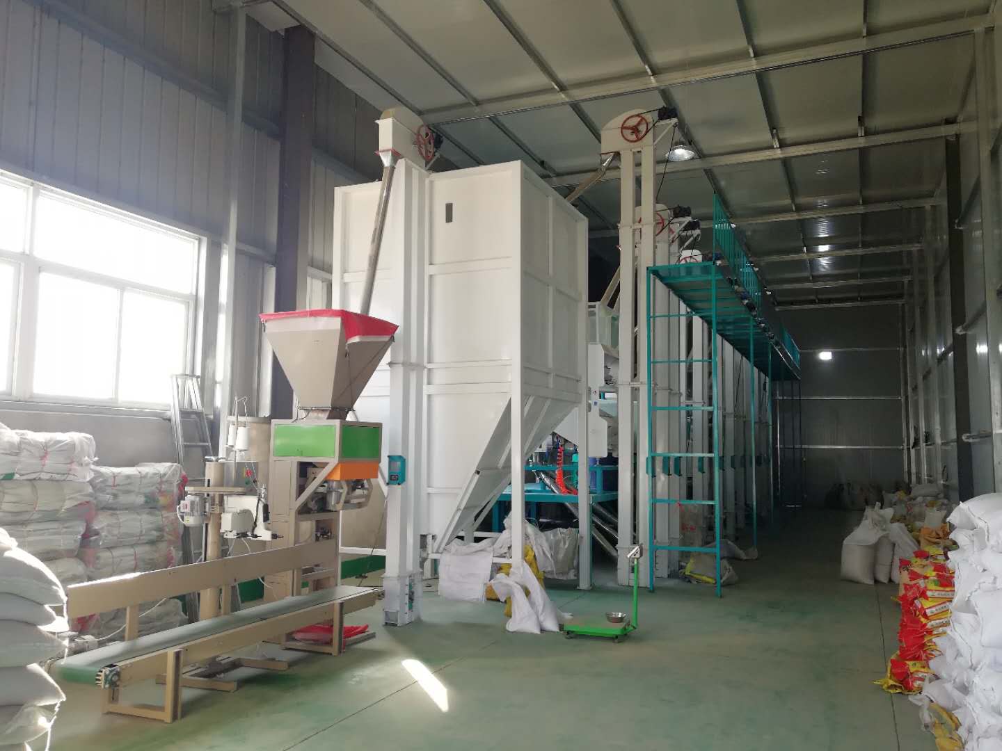 50 tons maize processing plant