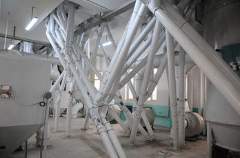 maize flour processing plant