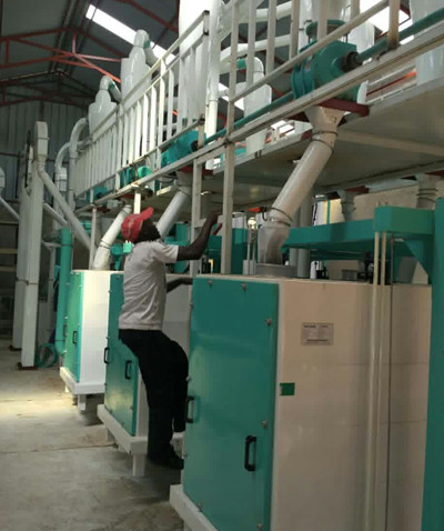 50 ton per day maize mill plant