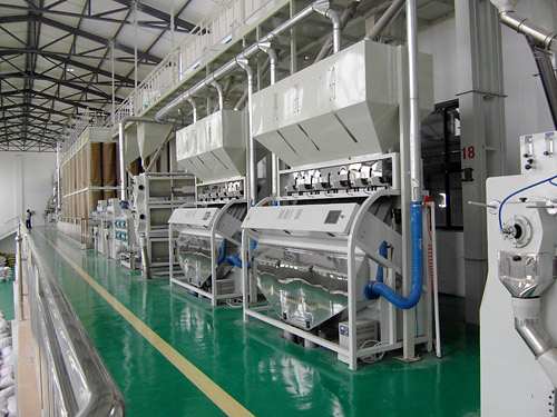 millet processing equipment