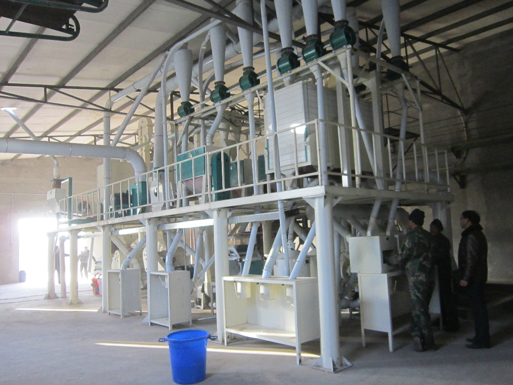 50 tons maize processing plant