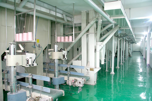 rice processing equipment