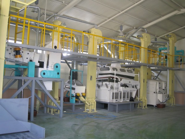 Seeds Cleaning Solution