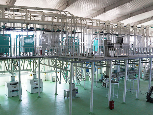 What are the advantages and functions of the corn processing complete production line