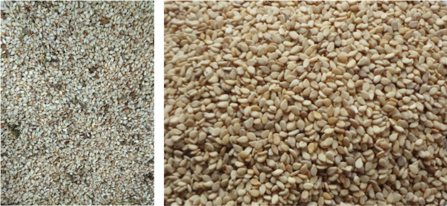 Seeds Cleaning Solution FINISHED PRODUCTS