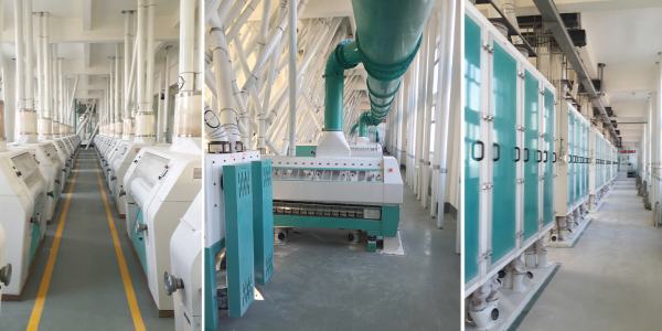 maize milling machine for sale in zambia