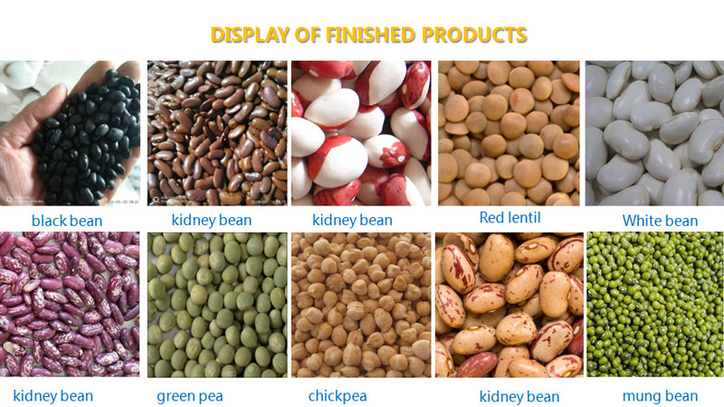 120TPD Pulses&Seeds Cleaning Plant in the U.S. FINISHED PRODUCTS
