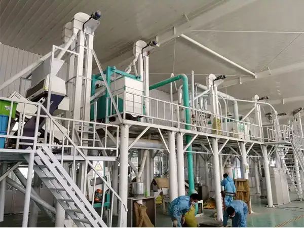 50TPD Medium Complete Maize Flour Milling Plant