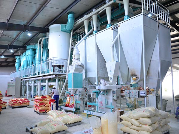 100 ton maize milling machine 
