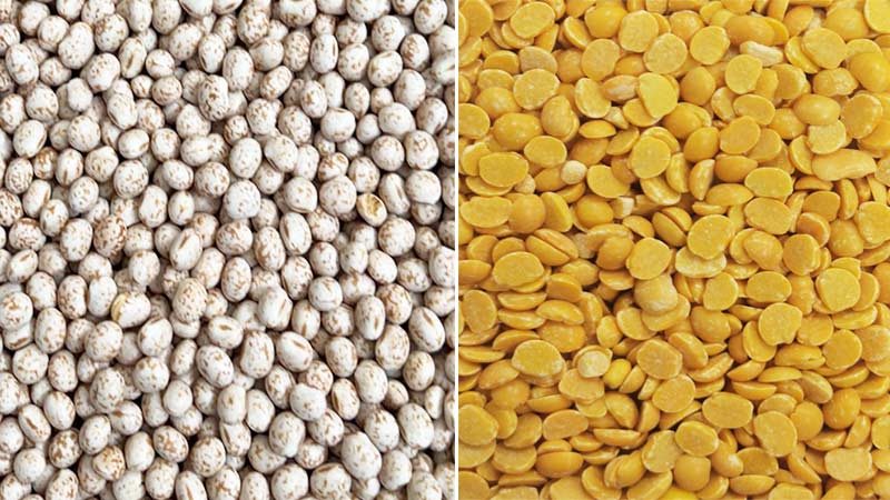 HTQM-35 Lupin Peeling Machine FINISHED PRODUCTS