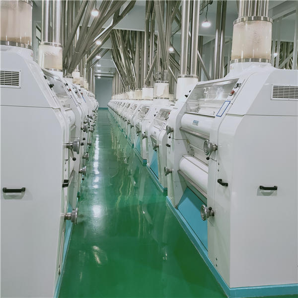 500Ton Wheat Flour Production Line