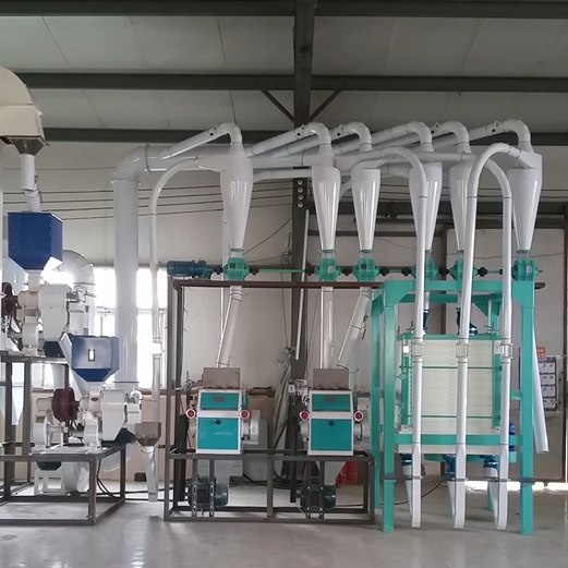 10-20TPD Complete Maize Grinding Machine/Plant