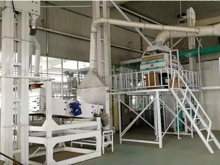50TPD Medium Complete Maize Flour Milling Plant