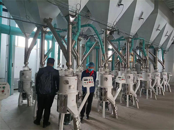 China Win Tone Machinery Boosts Efficiency and Profitability with New Buckwheat Processing Plant in
