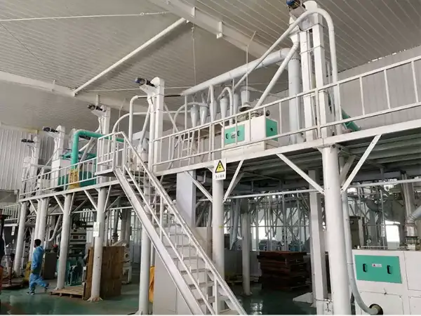 50TPD Medium Complete Maize Flour Milling Plant