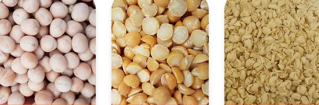 MTPS Series Yellow Peas Peeling Machine FINISHED PRODUCTS