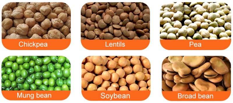 HRP Single Intelligent Flexible Bean Polishing Machine FINISHED PRODUCTS