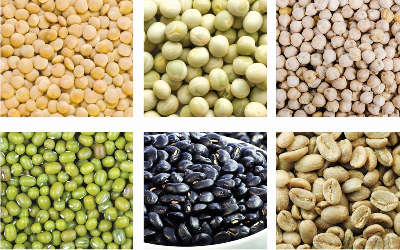 Grain and Pulses Cleaning Plant FINISHED PRODUCTS