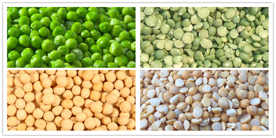 Dry Pea Processing Plant FINISHED PRODUCTS