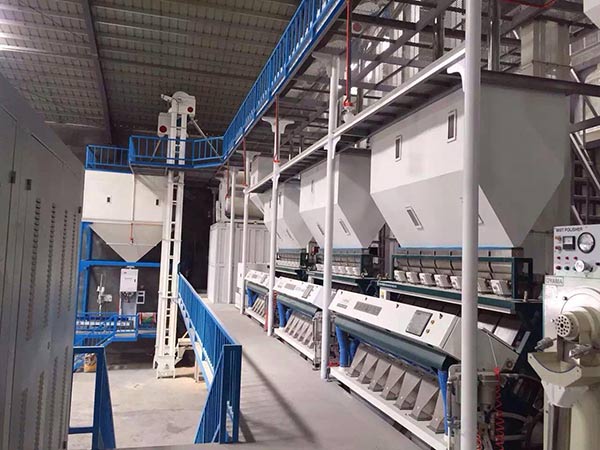 color sorter for soybean processing