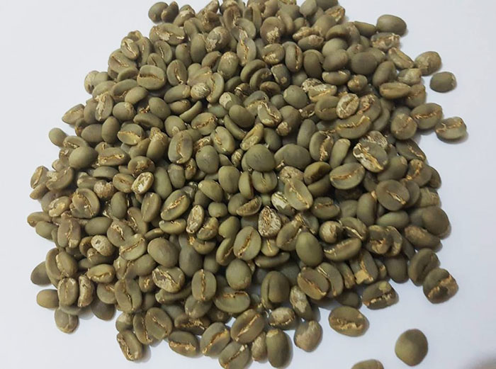 Green Coffee Beans Cleaning Plant FINISHED PRODUCTS