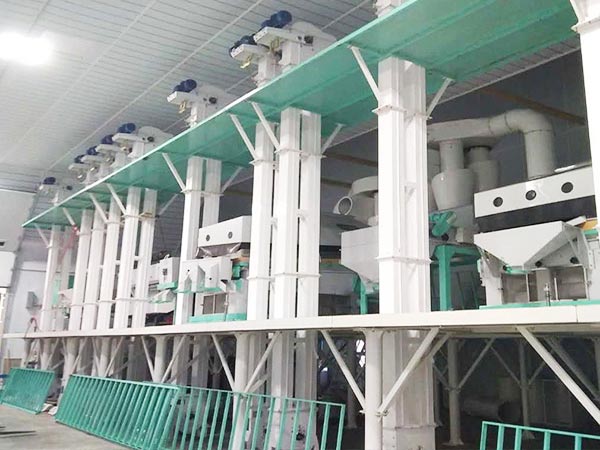 Grain and Pulses Cleaning Plant