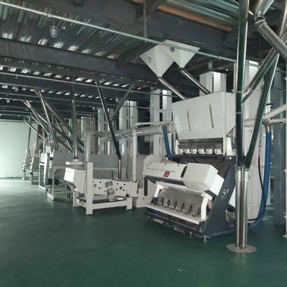 Grain and Pulses Cleaning Plant