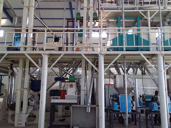 30TPD maize milling plant